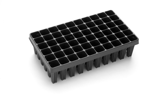 Seed starting trays for trees, palms 60 holes 53x30x14 cm